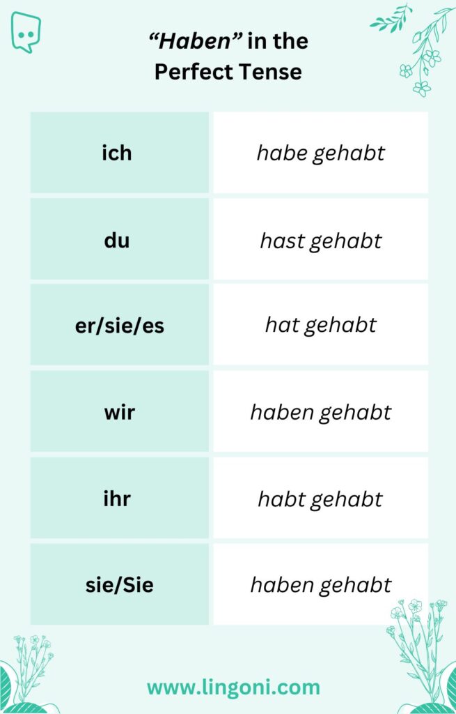 German present perfect tense with 'haben' as both auxiliary and main verb – conjugation: ich habe gehabt, du hast gehabt, er/sie/es hat gehabt, wir haben gehabt, ihr habt gehabt, sie/Sie haben gehabt.